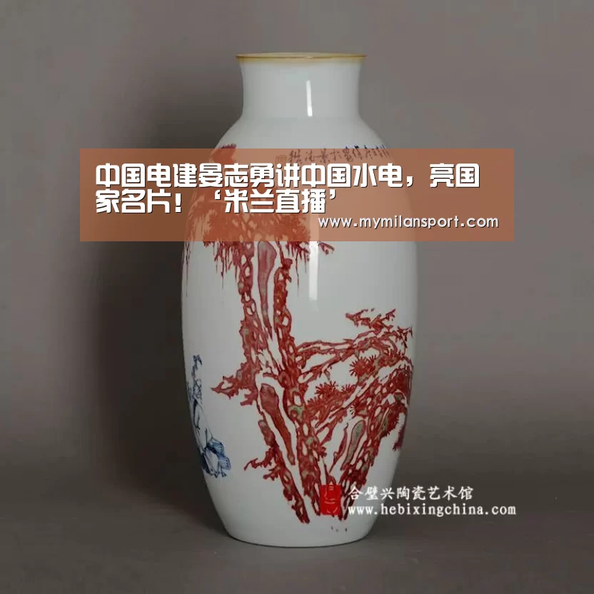 中国电建晏志勇讲中国水电,亮国家名片!‘米兰直播’(图2) 米兰网站