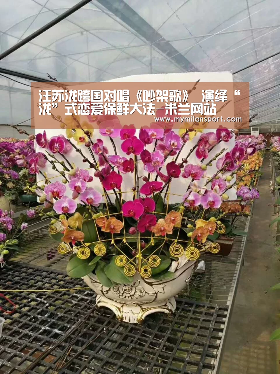 汪苏泷跨国对唱《吵架歌》 演绎“泷”式恋爱保鲜大法-米兰网站(图1) 米兰直播