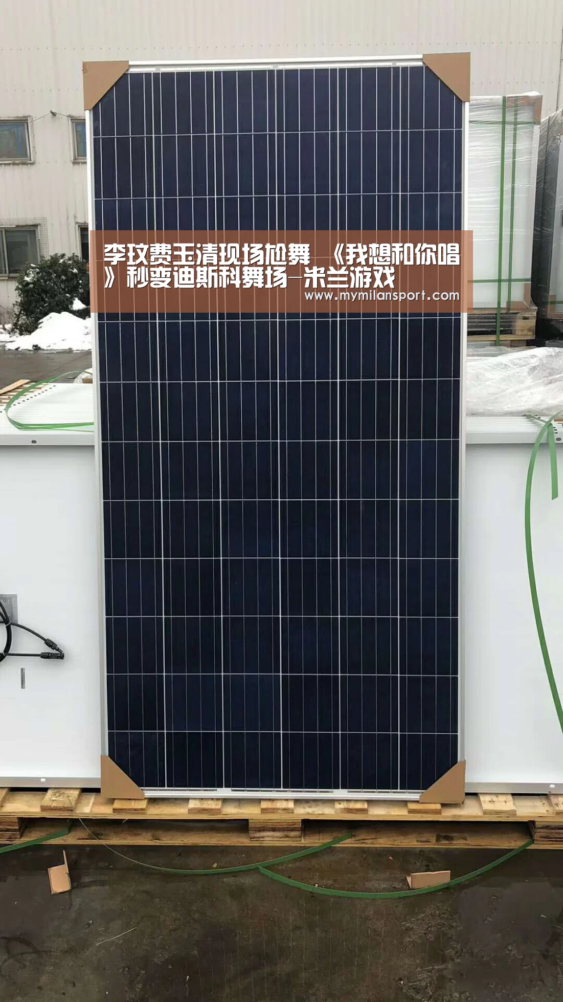 李玟费玉清现场尬舞 《我想和你唱》秒变迪斯科舞场-米兰游戏(图3) 米兰频道